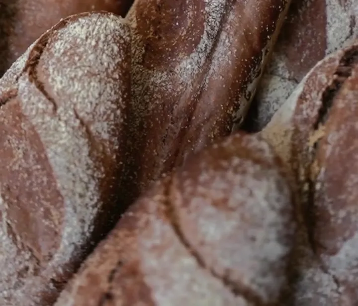 Pães rústicos